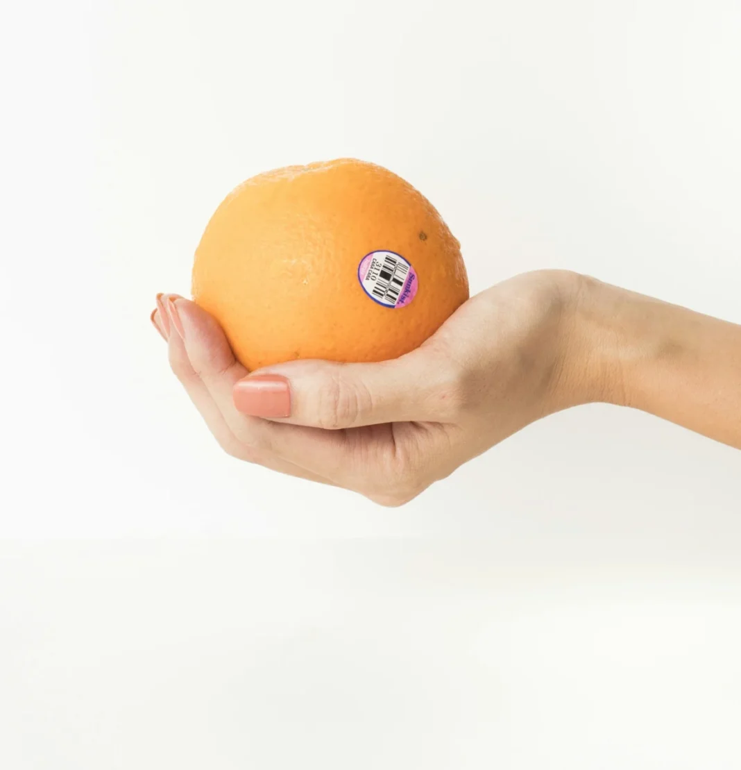 Elaine Trevino Joins Sunkist as VP of Government & Sustainability